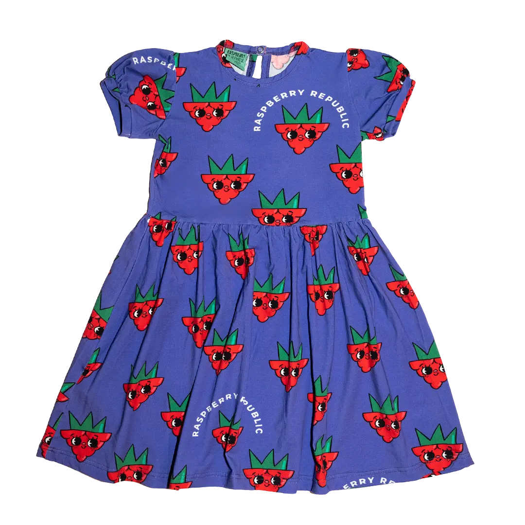 Girls Dress - Raspberry Love Purple