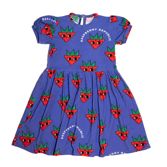 Girls Dress - Raspberry Love Purple
